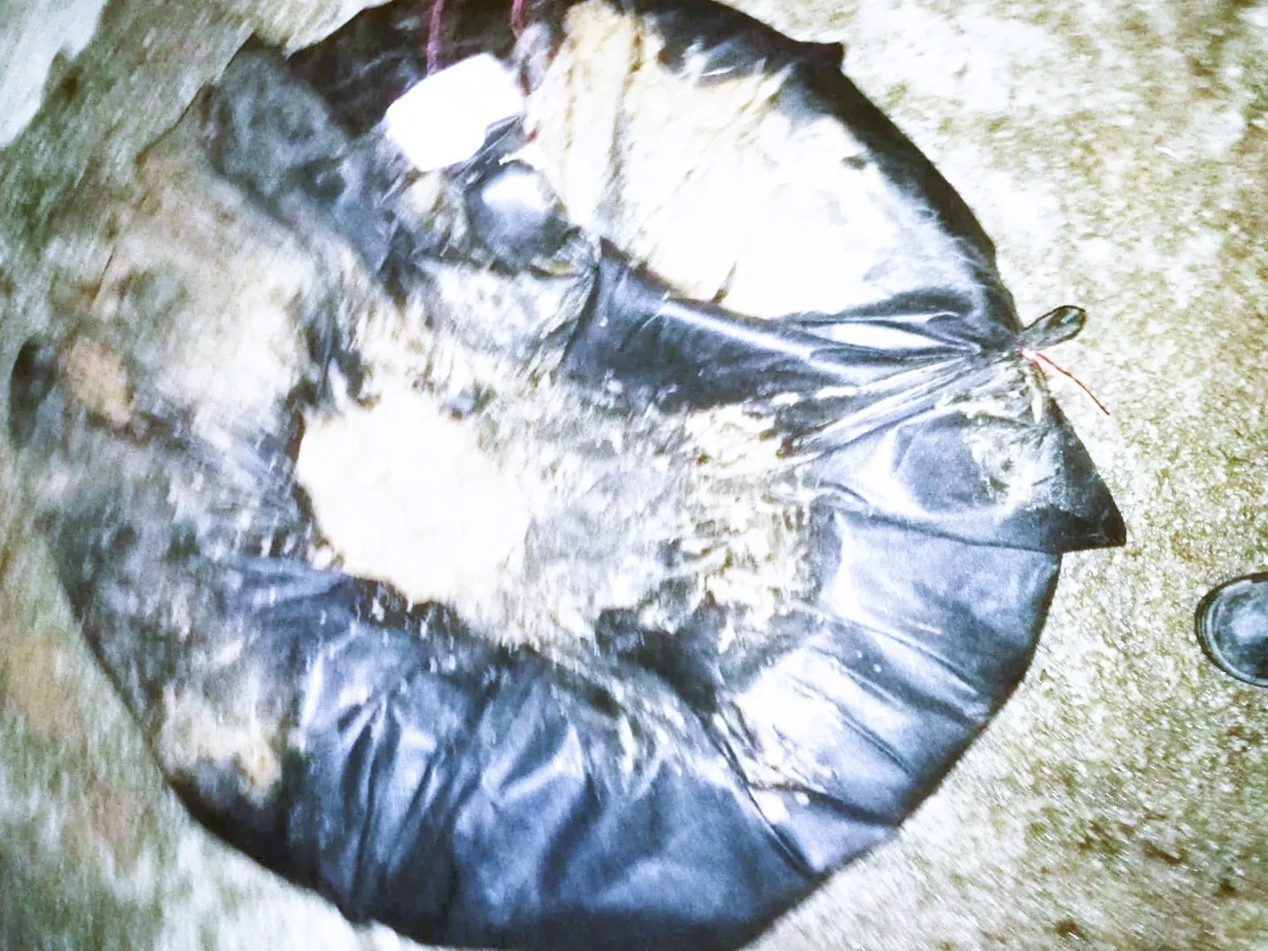 cig20230117 cig kamera nemune 41