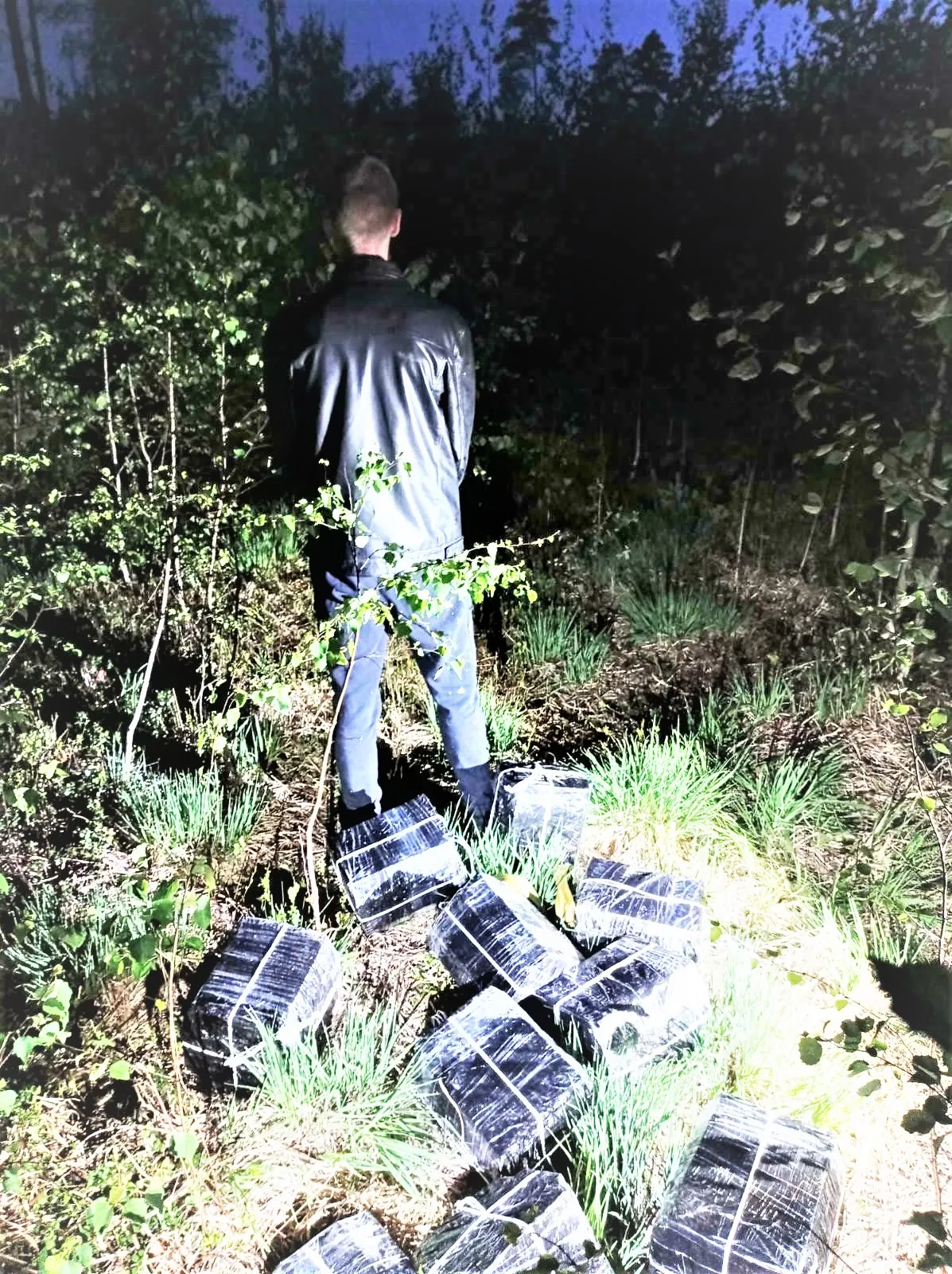 ciga20230531 cig kapc kab