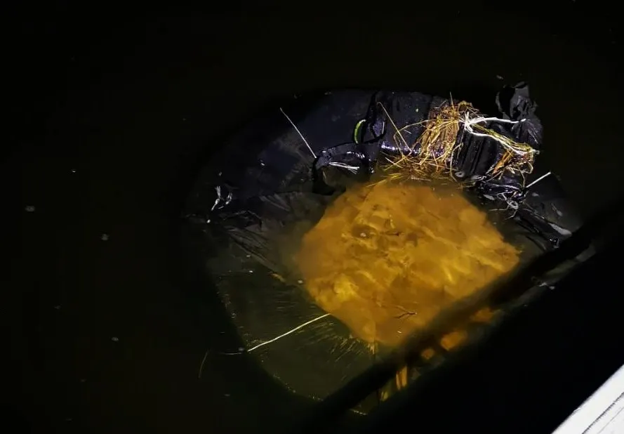 cigpad20230302 cig plaust kapciam 3