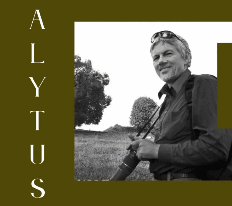 darasplakatas daraskevicius kopijass