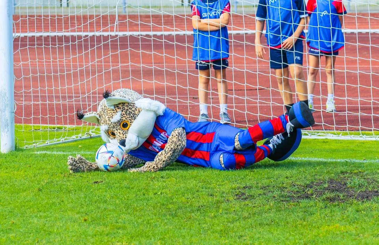 dfk299825172 2284428201704463 5679627791793792783 n