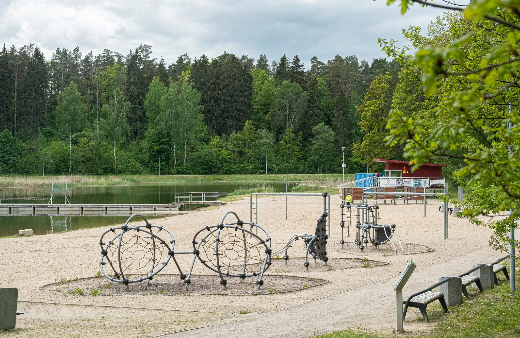 didzioji dailide ams nuotr 4