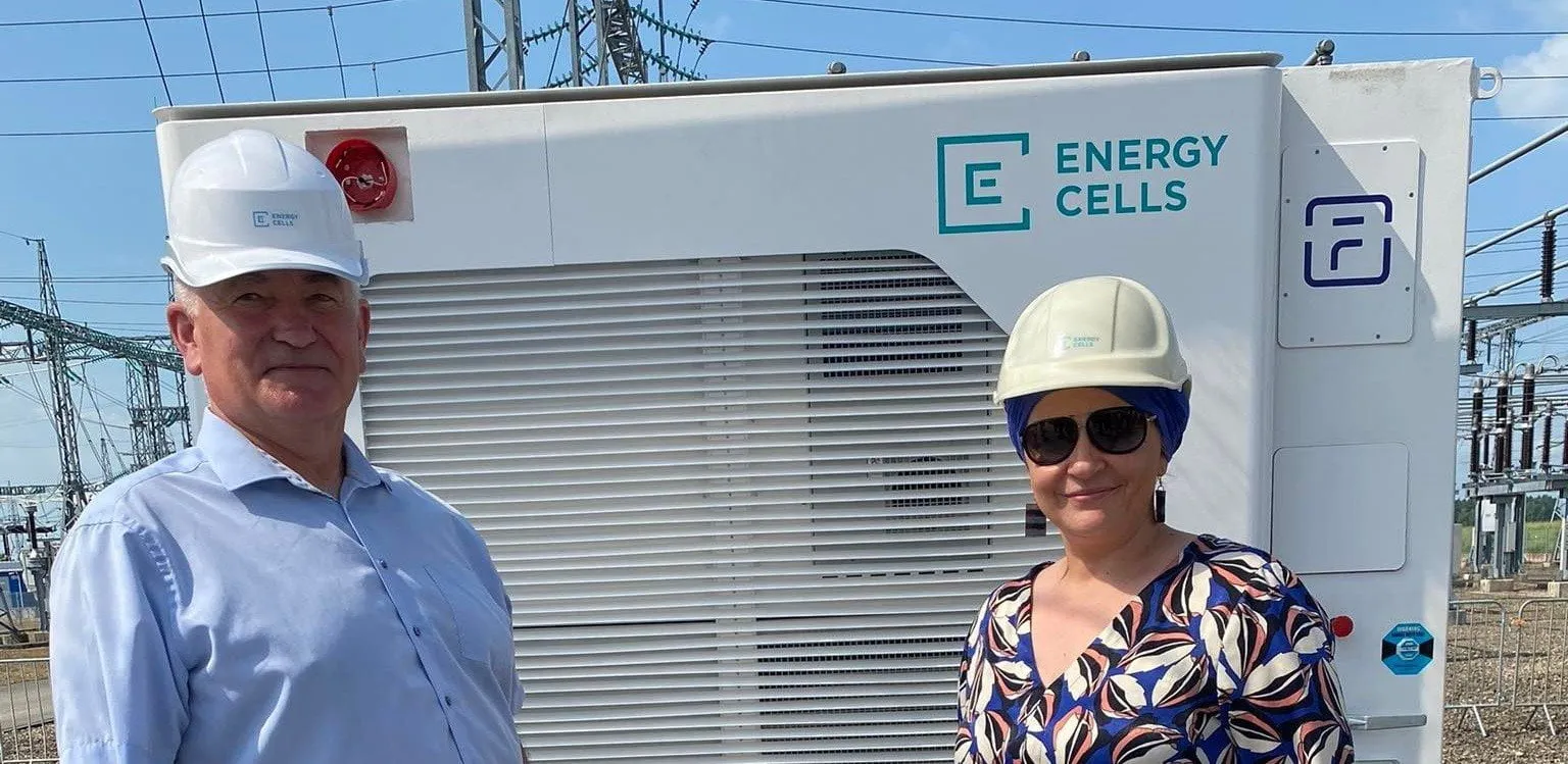 dkitaviciene g chscenavicius 1