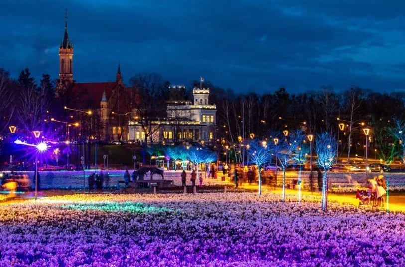 dru093046693 40194f3d e605 416b aad7 8fdc156f9af7 42391