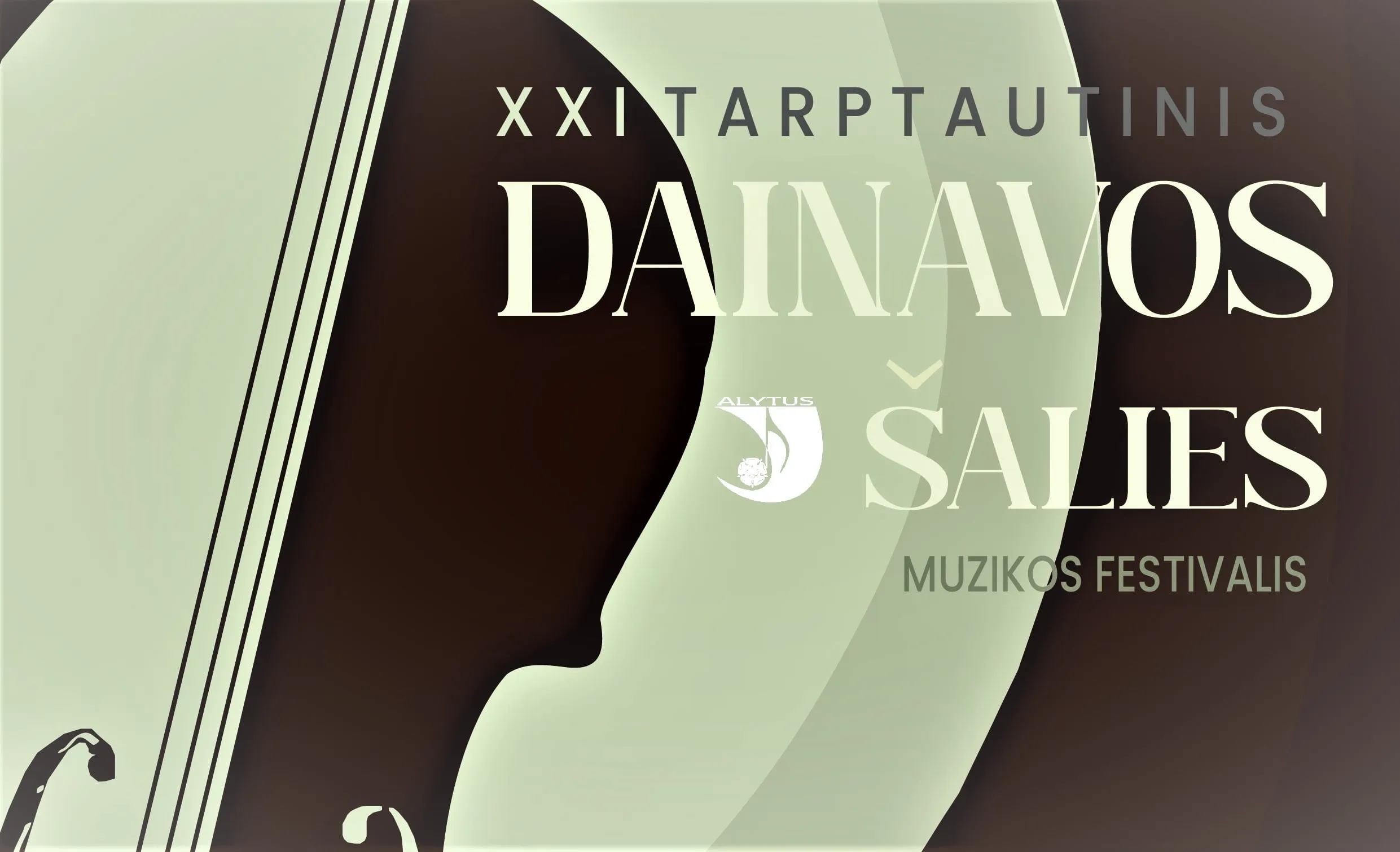 dsfa3 su programaweb kopija