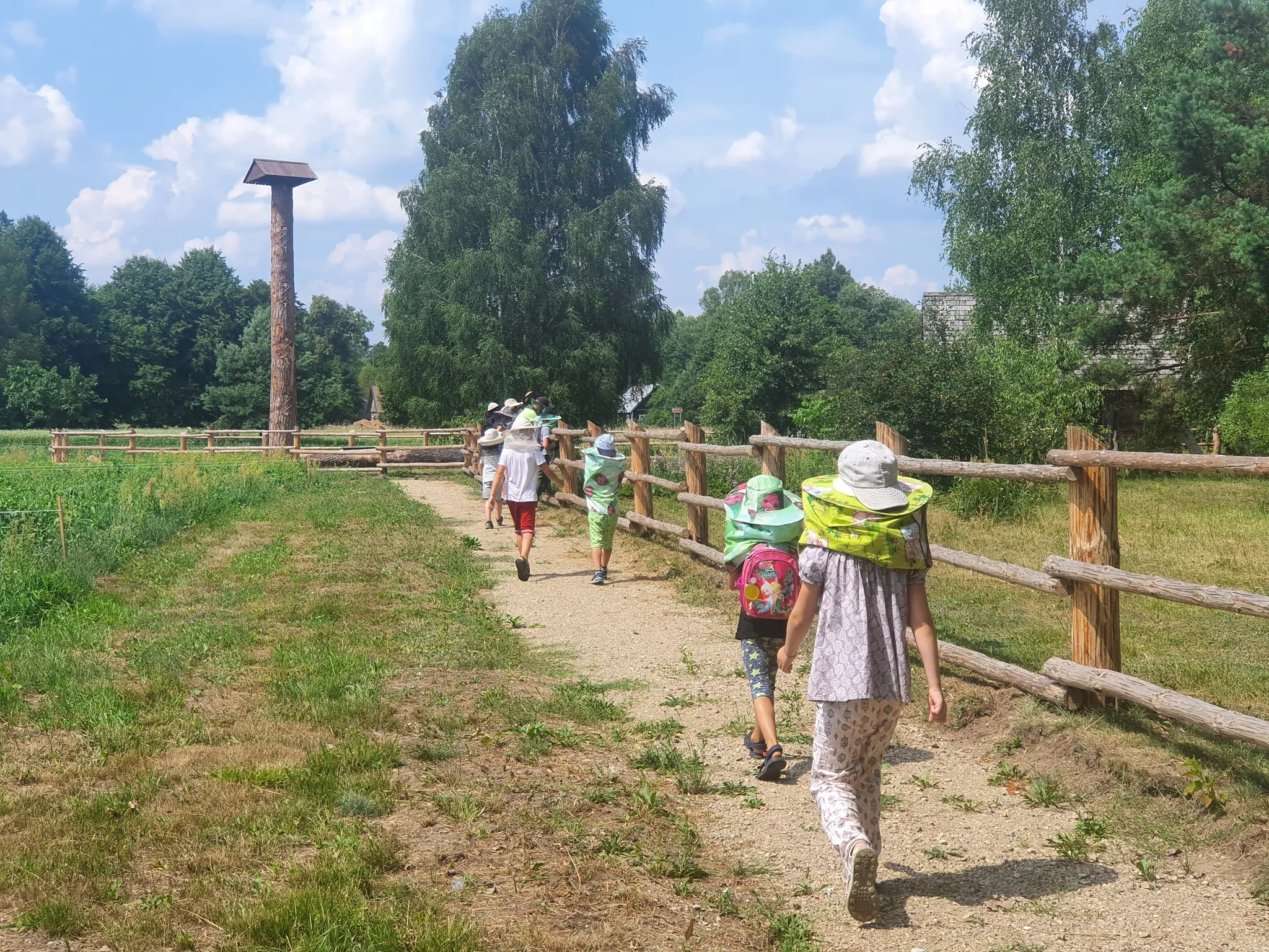 dzsto358448752 607615594843633 2485660395758450203 n