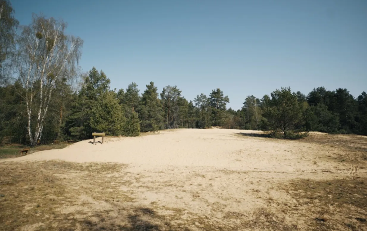 dzukop1638 423fb190e666783945e3207ae389000bs