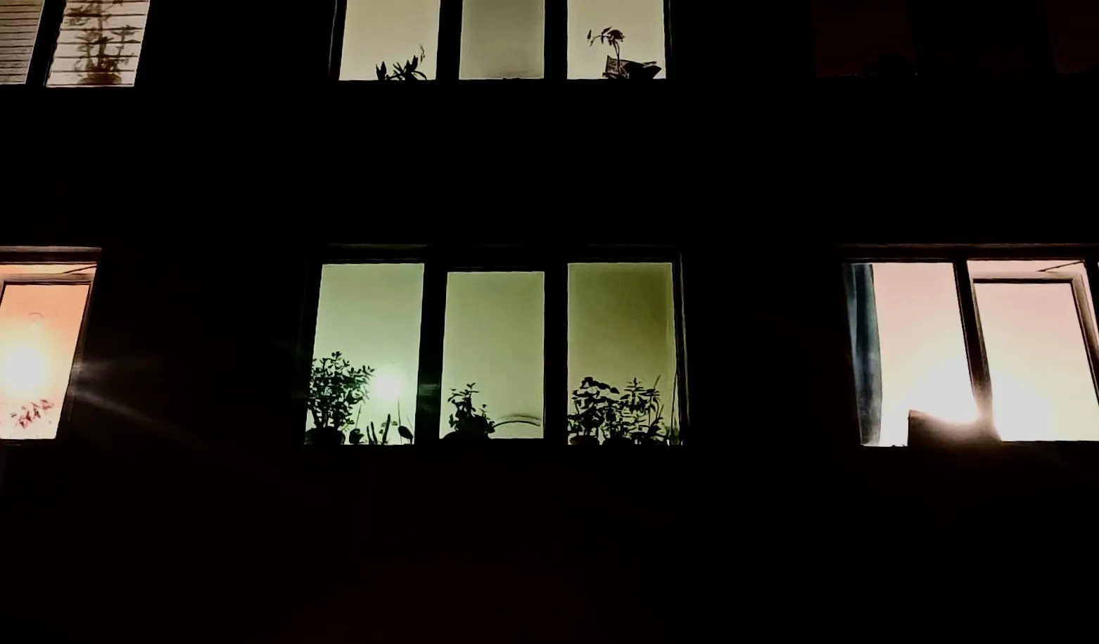 eleimg 20231113 184547s