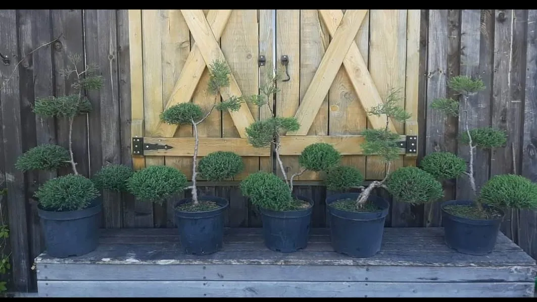 fb img 1698921037897