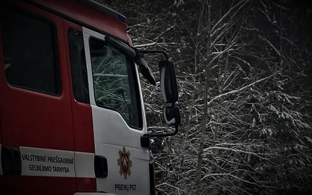 gaisava328714851 856201188806323 2599991606920662095 n