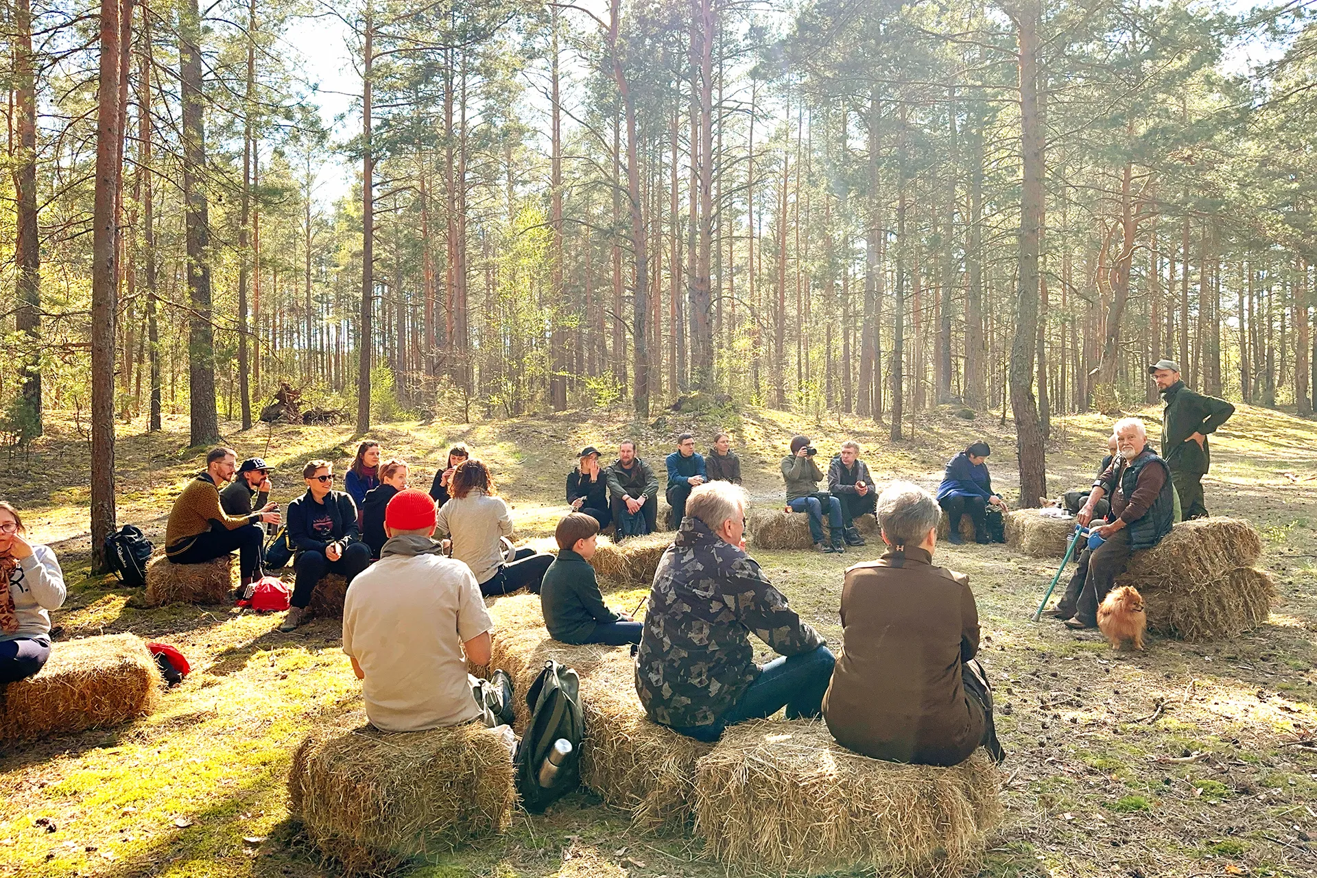 genie 2023 apr 29 175332 n