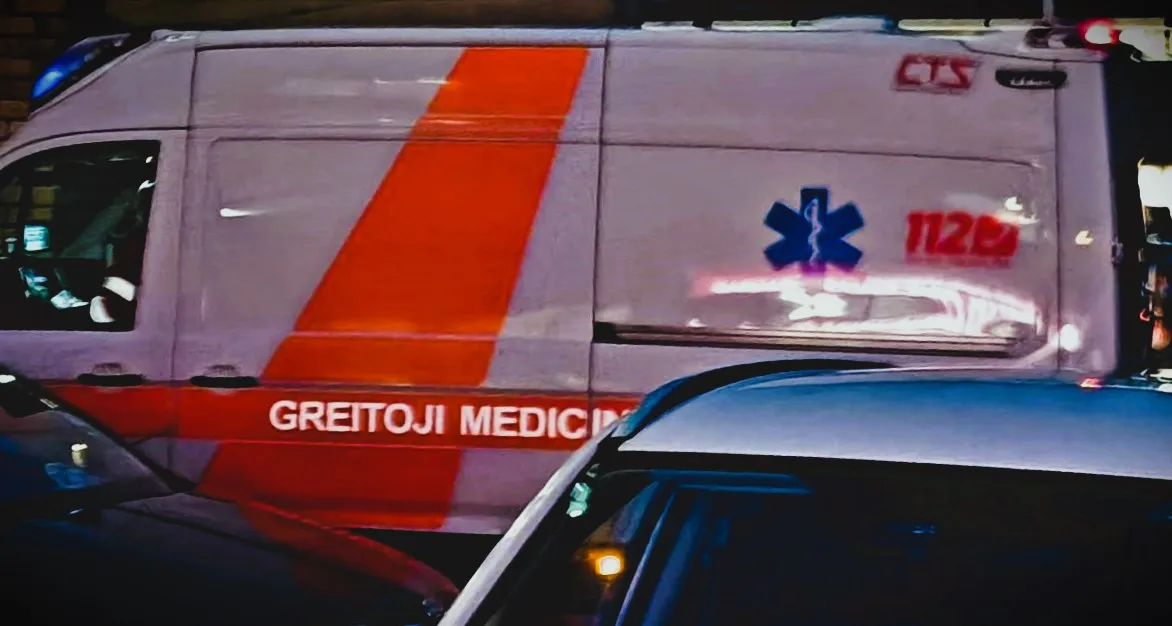 greinakimg 20230116 080437s