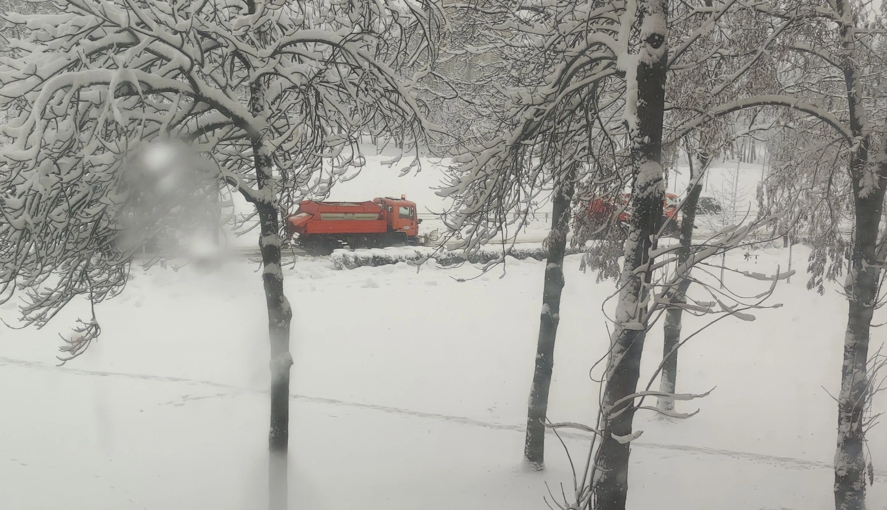 img 20210127 1621304276076386084596033