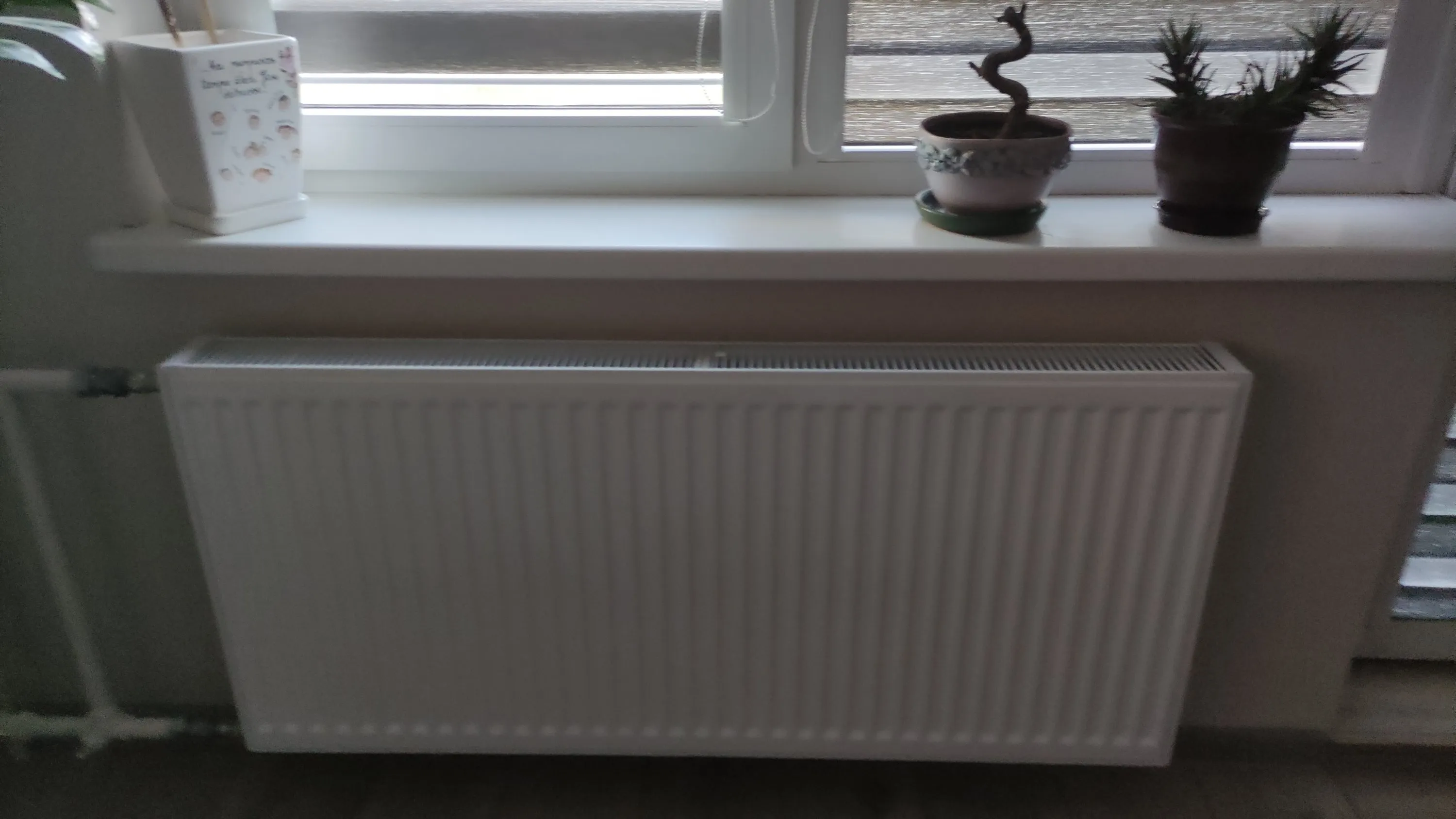 img 20210419 1721257793794750000906056