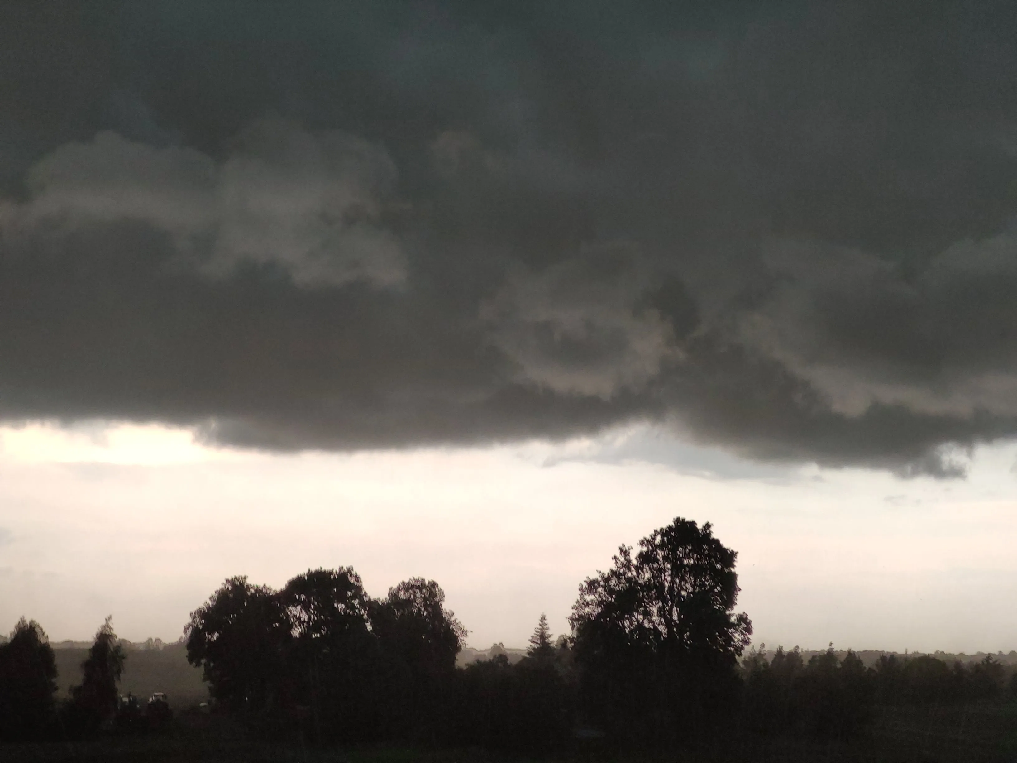 img 20210623 202319 1