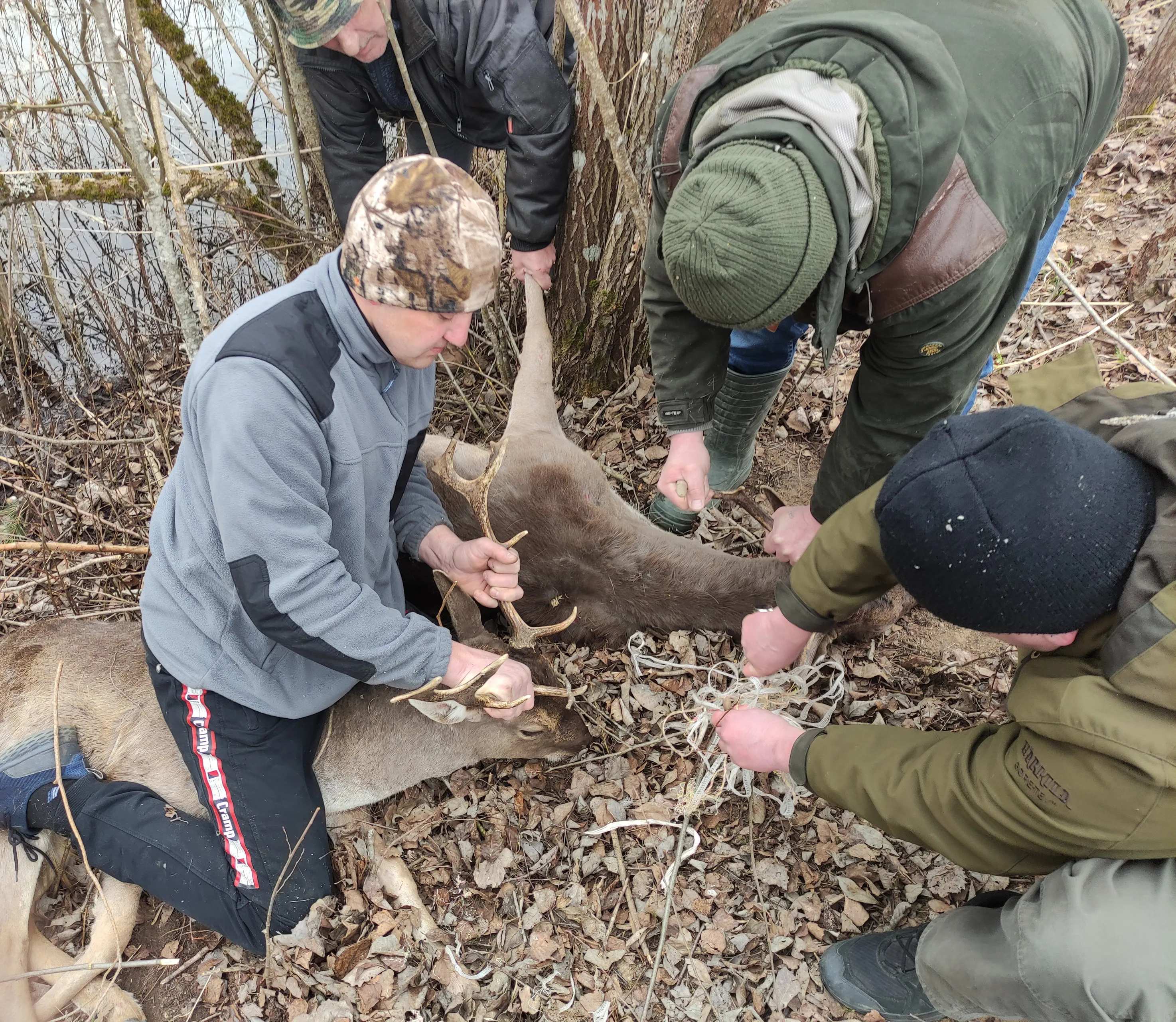 img 20220404 1125500