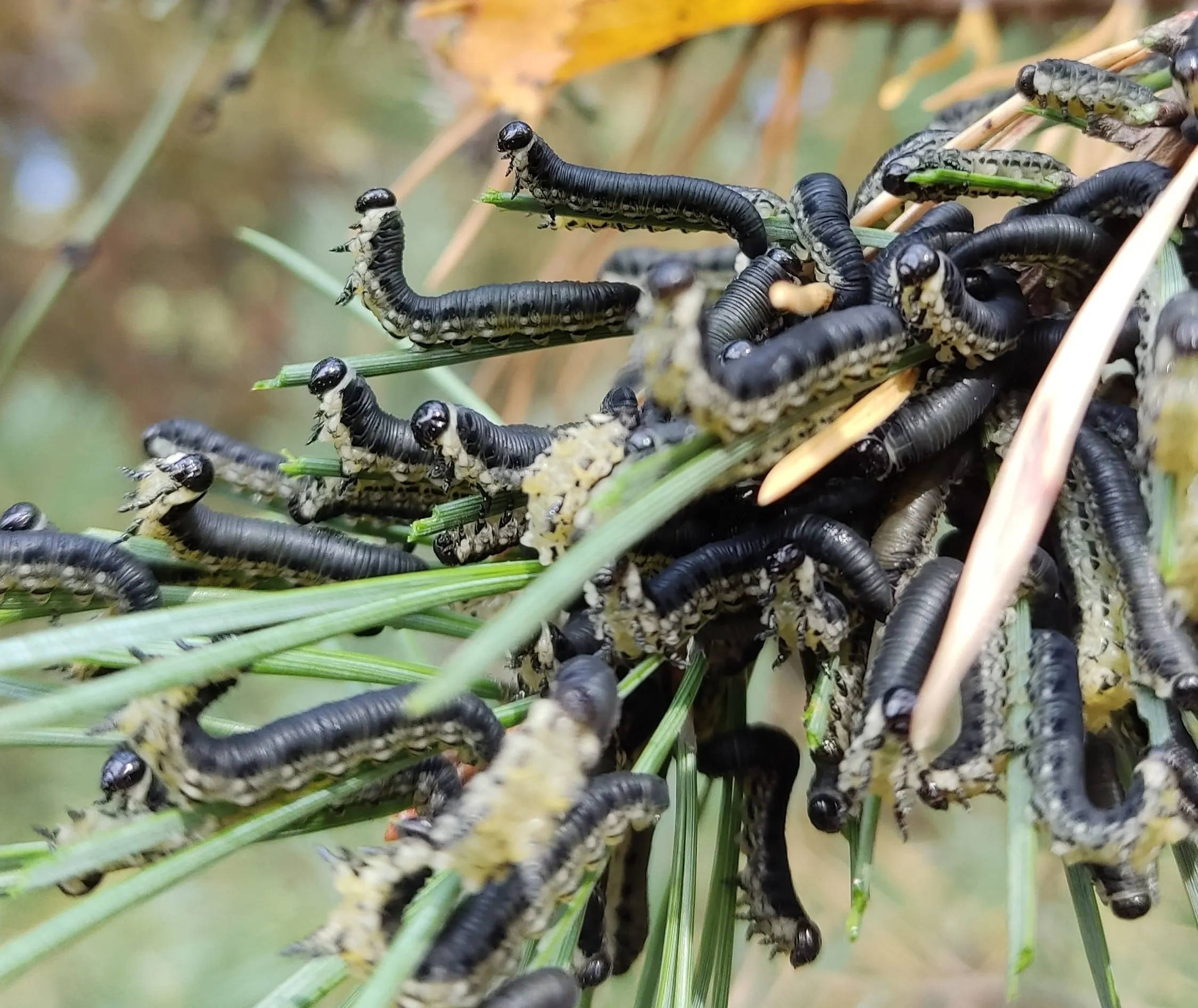 img 20220928 104612 kor