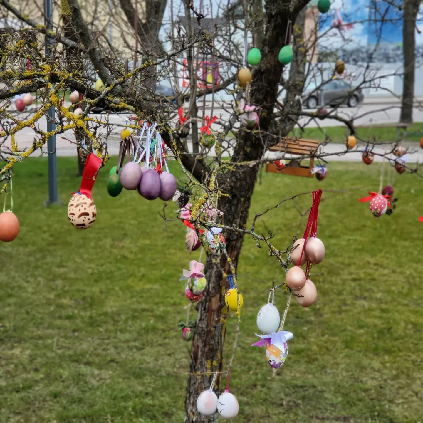 img 20230404 182921 938