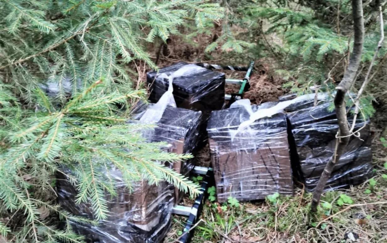 kacia327 e8a9e99bab6585c077e3b88d7fa96d4fs