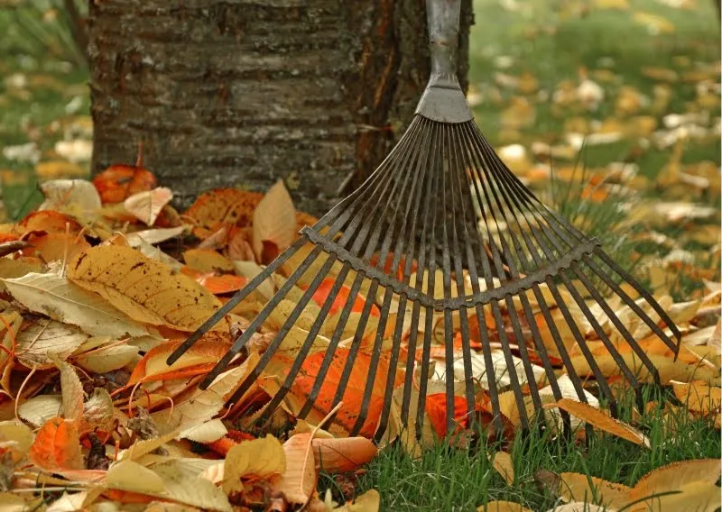 lapu nedeginkite kompostuokite arba vezkite i atlieku rusiavimo centra1