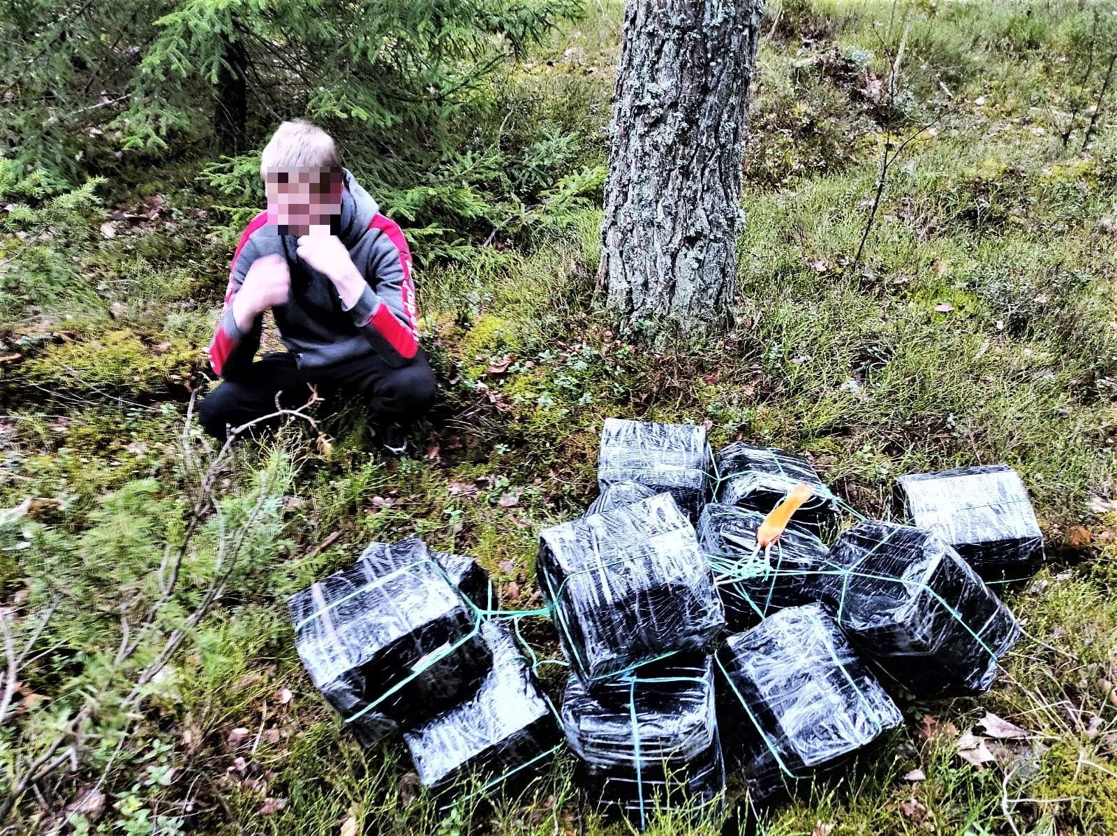 lazd20230417 cig kabeliai 2 pix