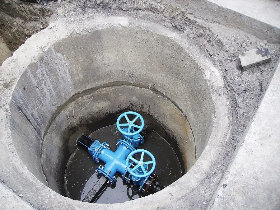 lazsil272667036 1278629259307809 4523336278960489609 n