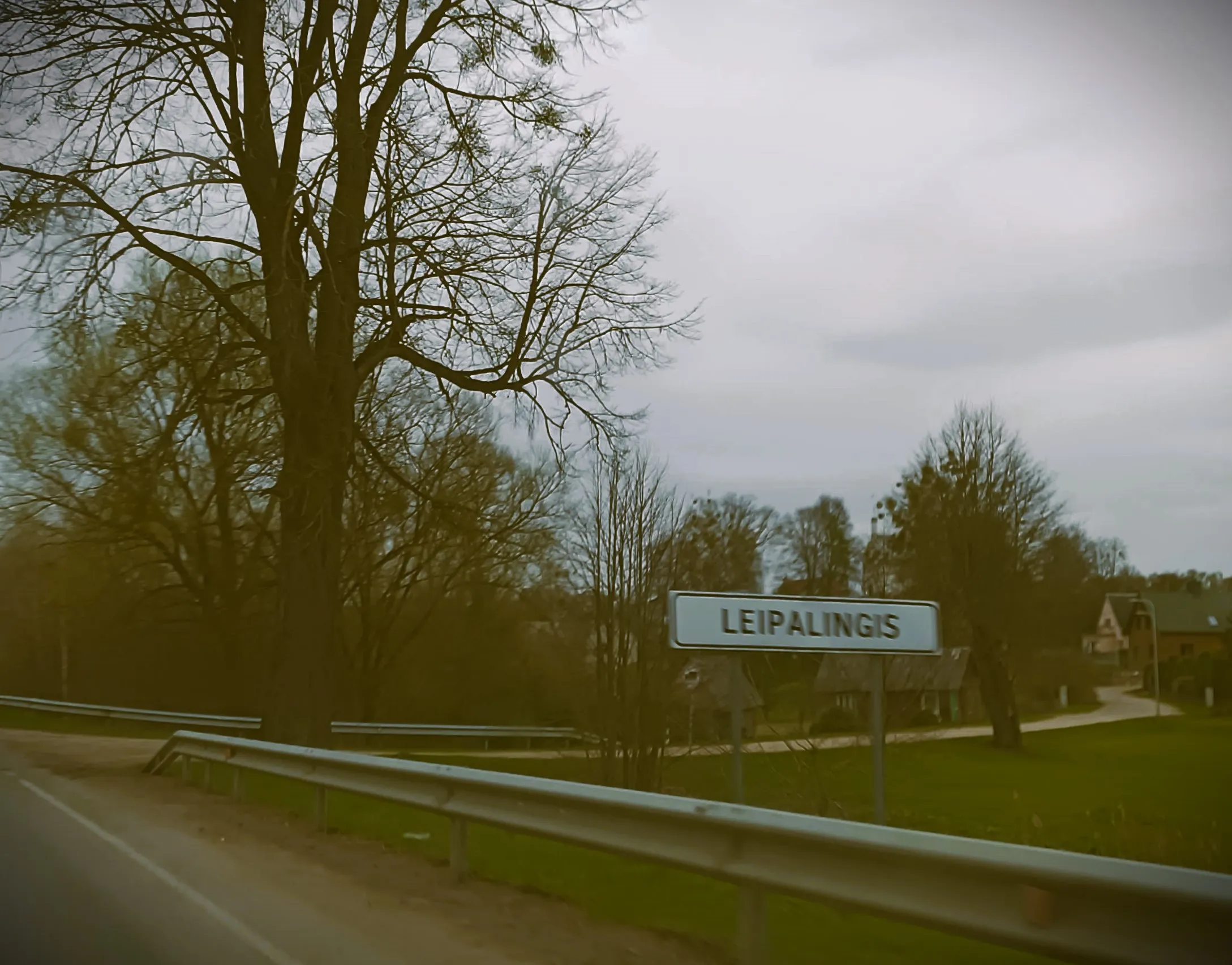 leipimg 20230415 154402