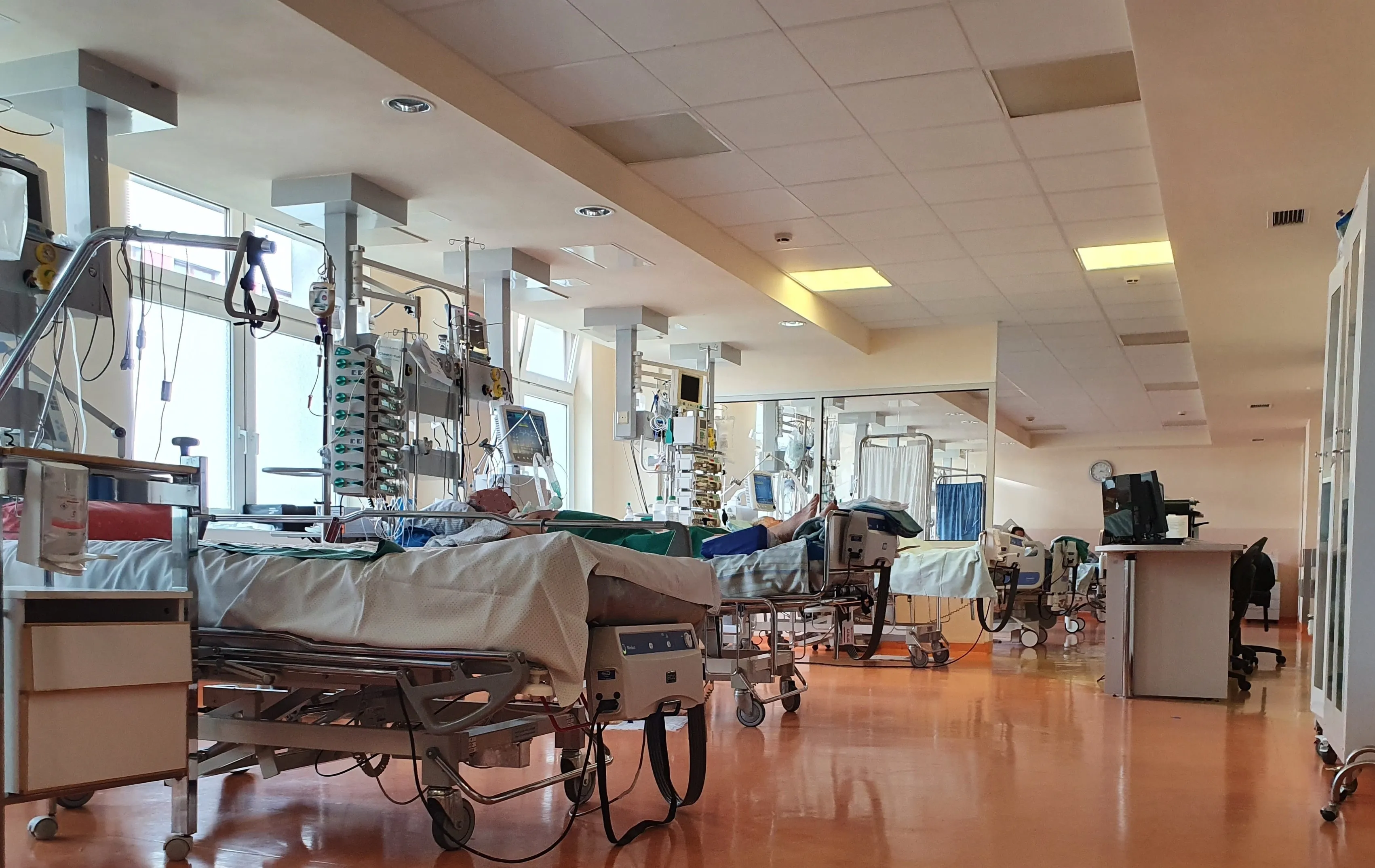 lovos reanimacija 1630926284