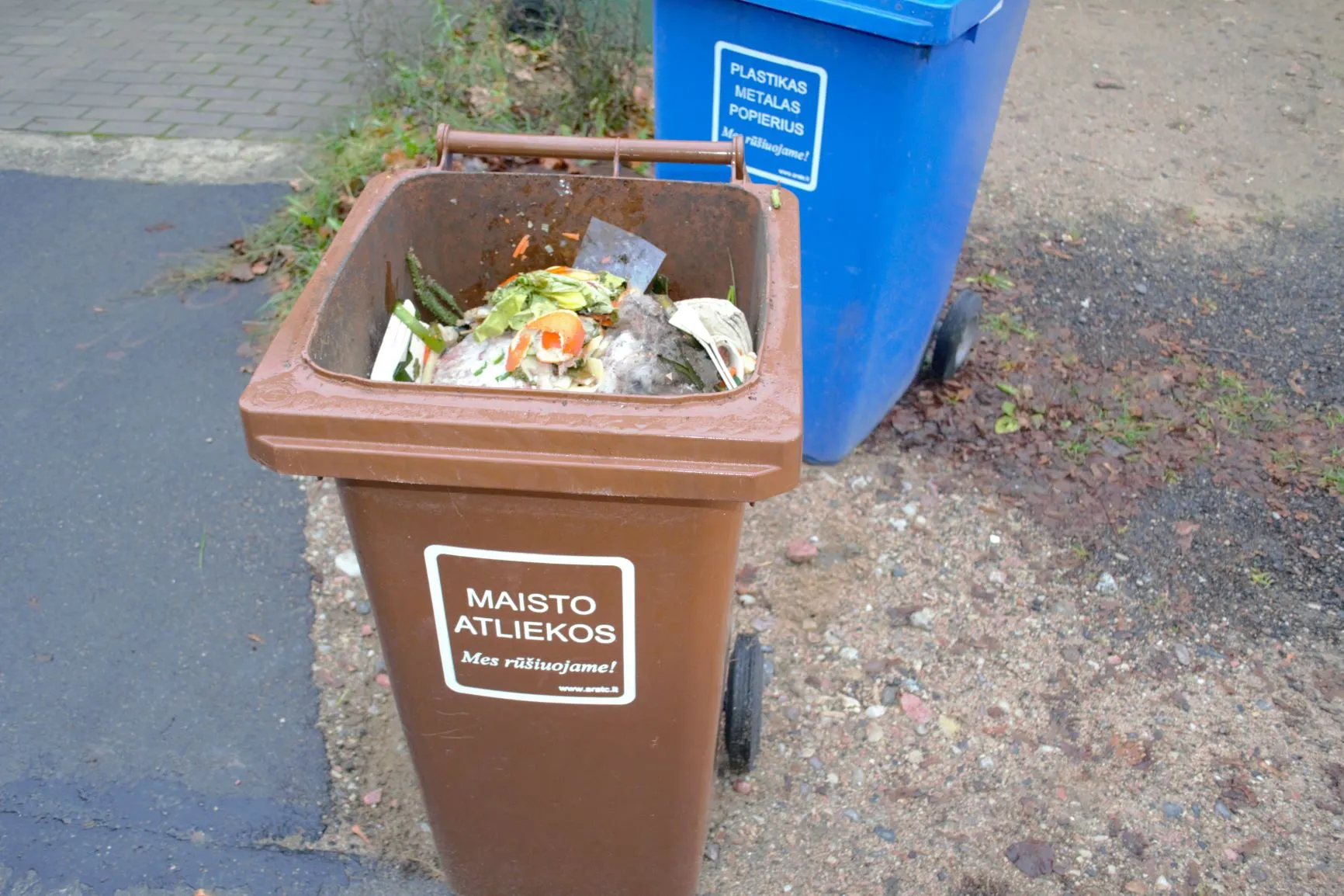 maisto atliekos konteineryje individualiu