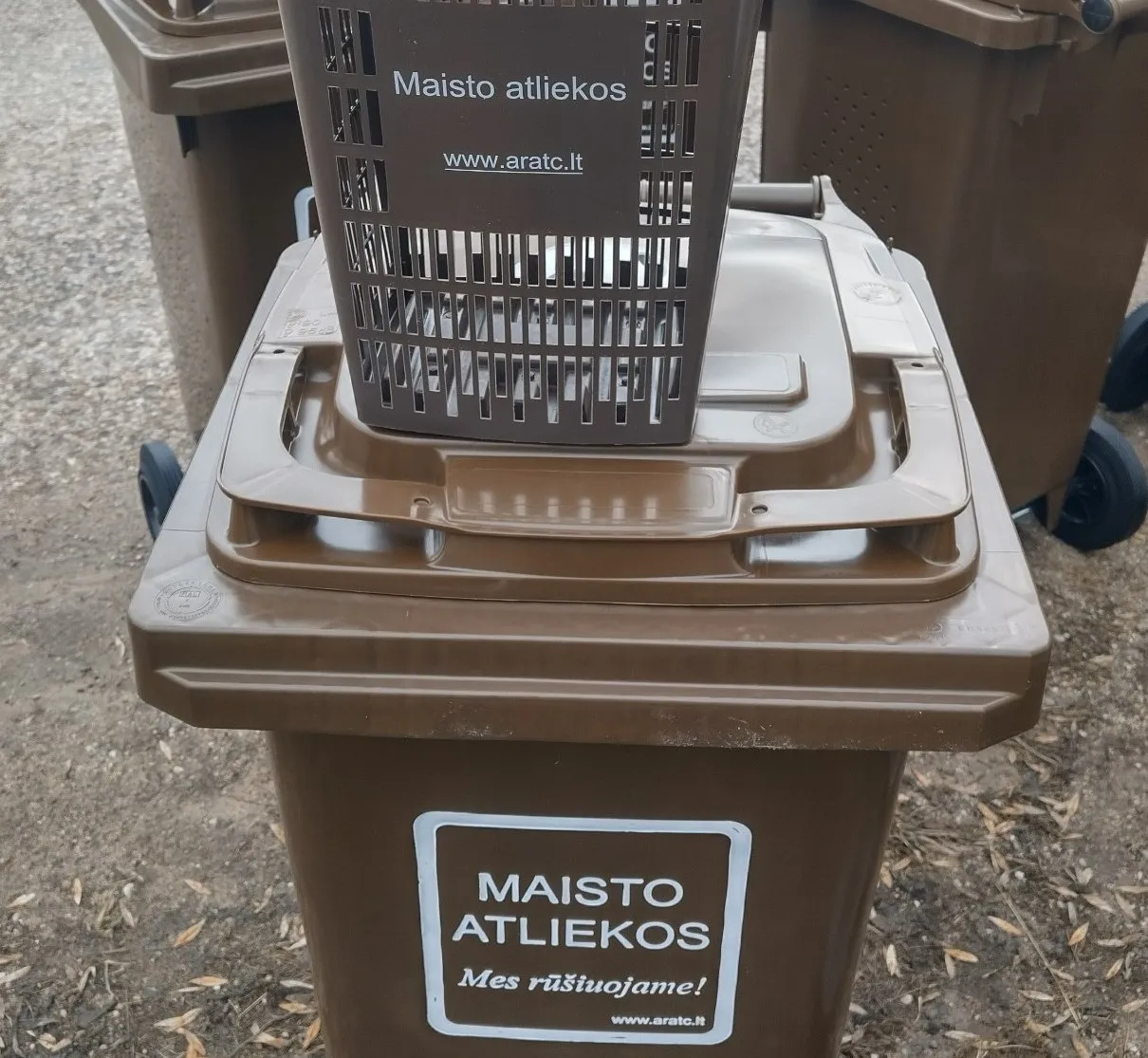 maisto konteineris 1s