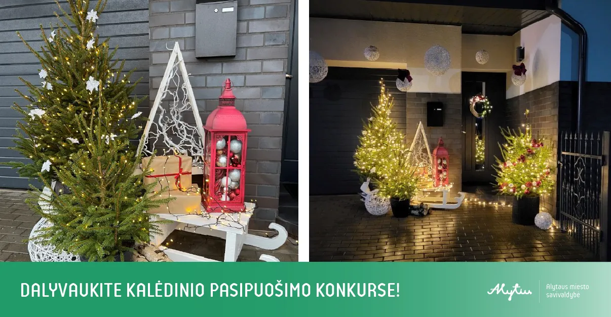 maketas svetainei 04