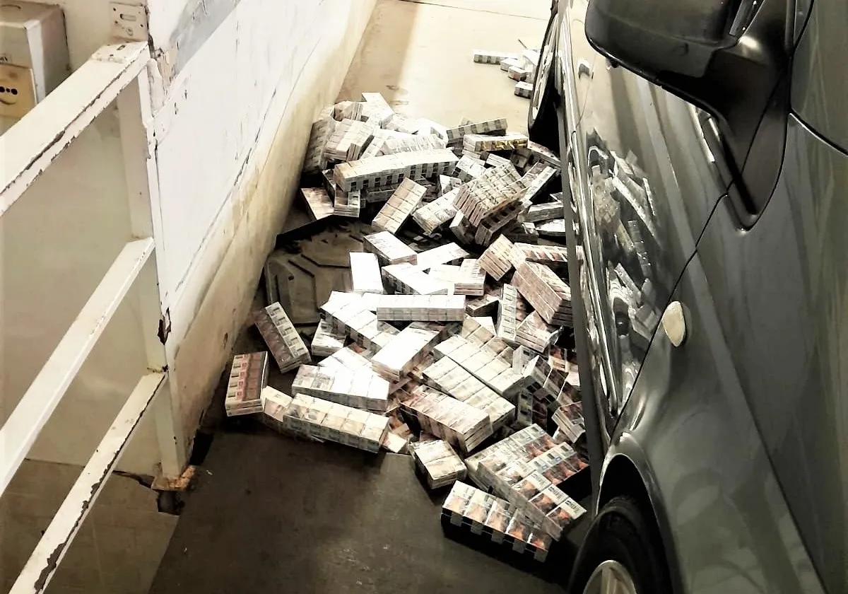 mbvanea20230831 cig raigss