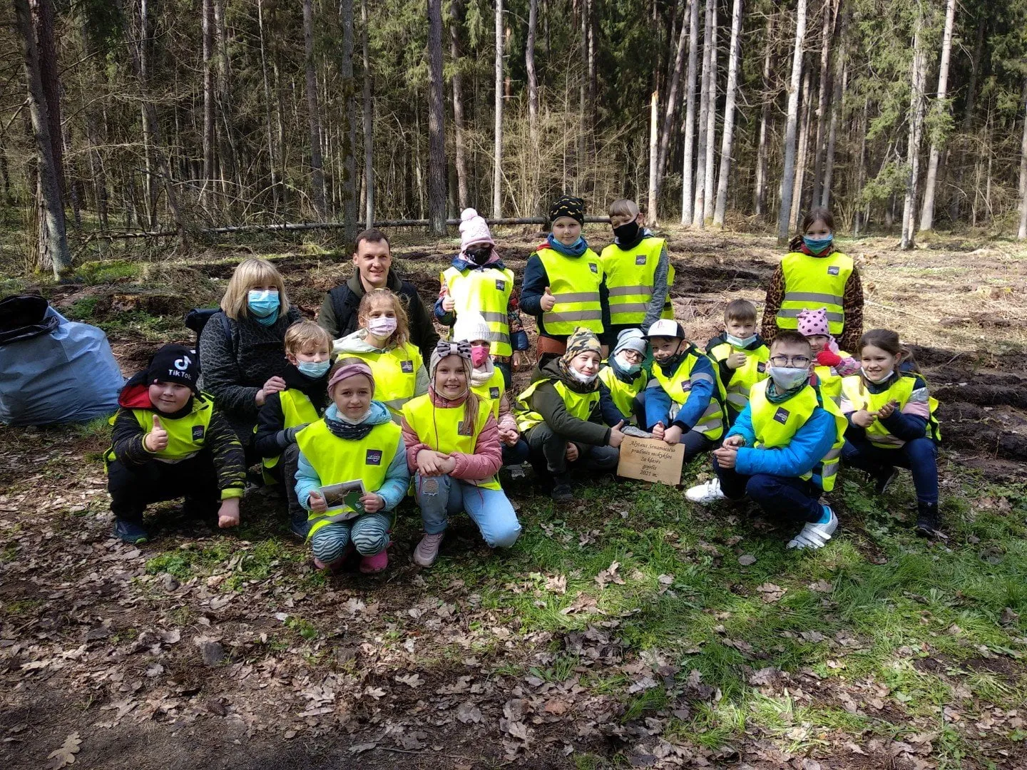 medeliu sodinimas ams nuot 12 large