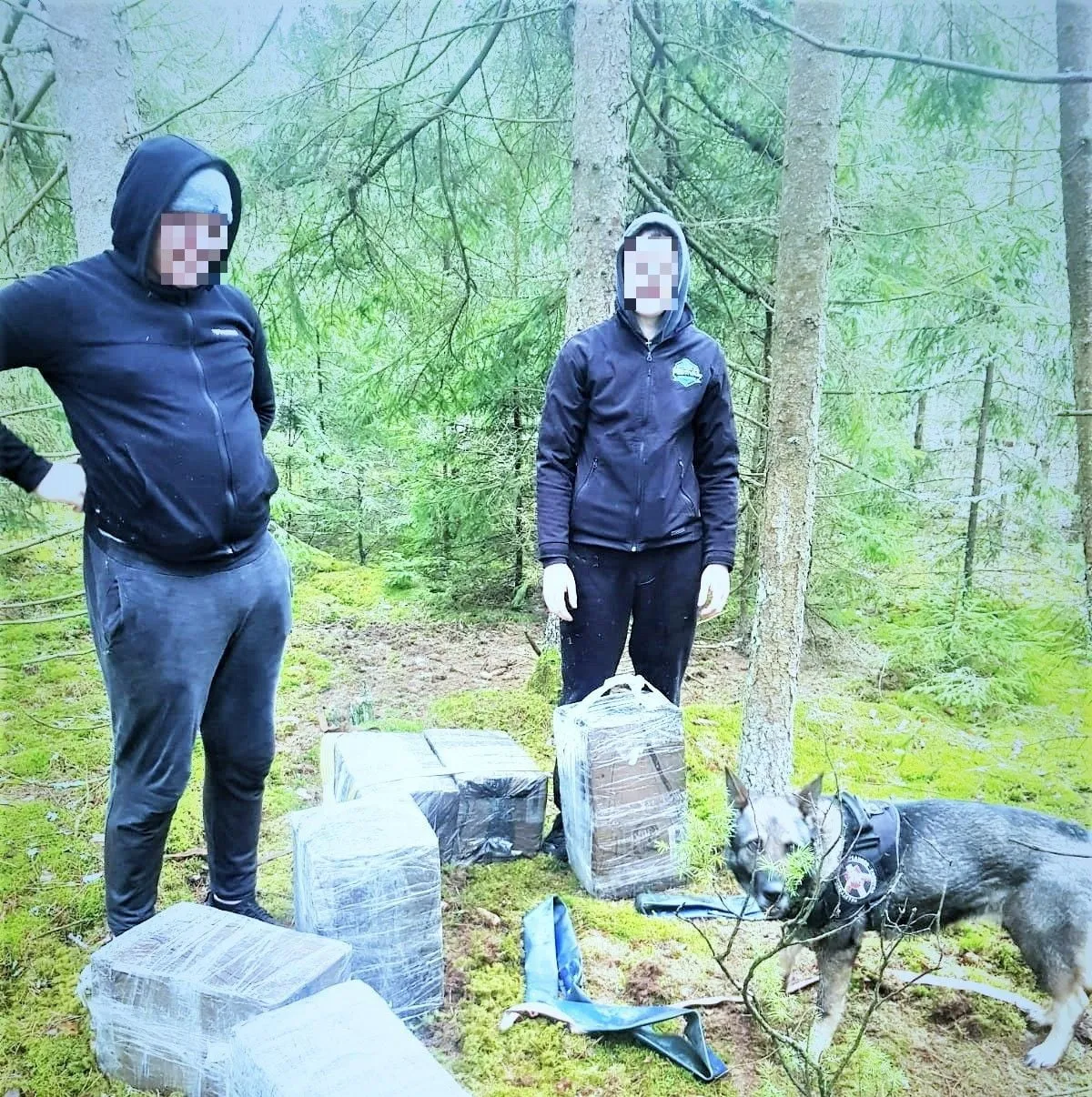 mete20230404 cig varena 2 pix