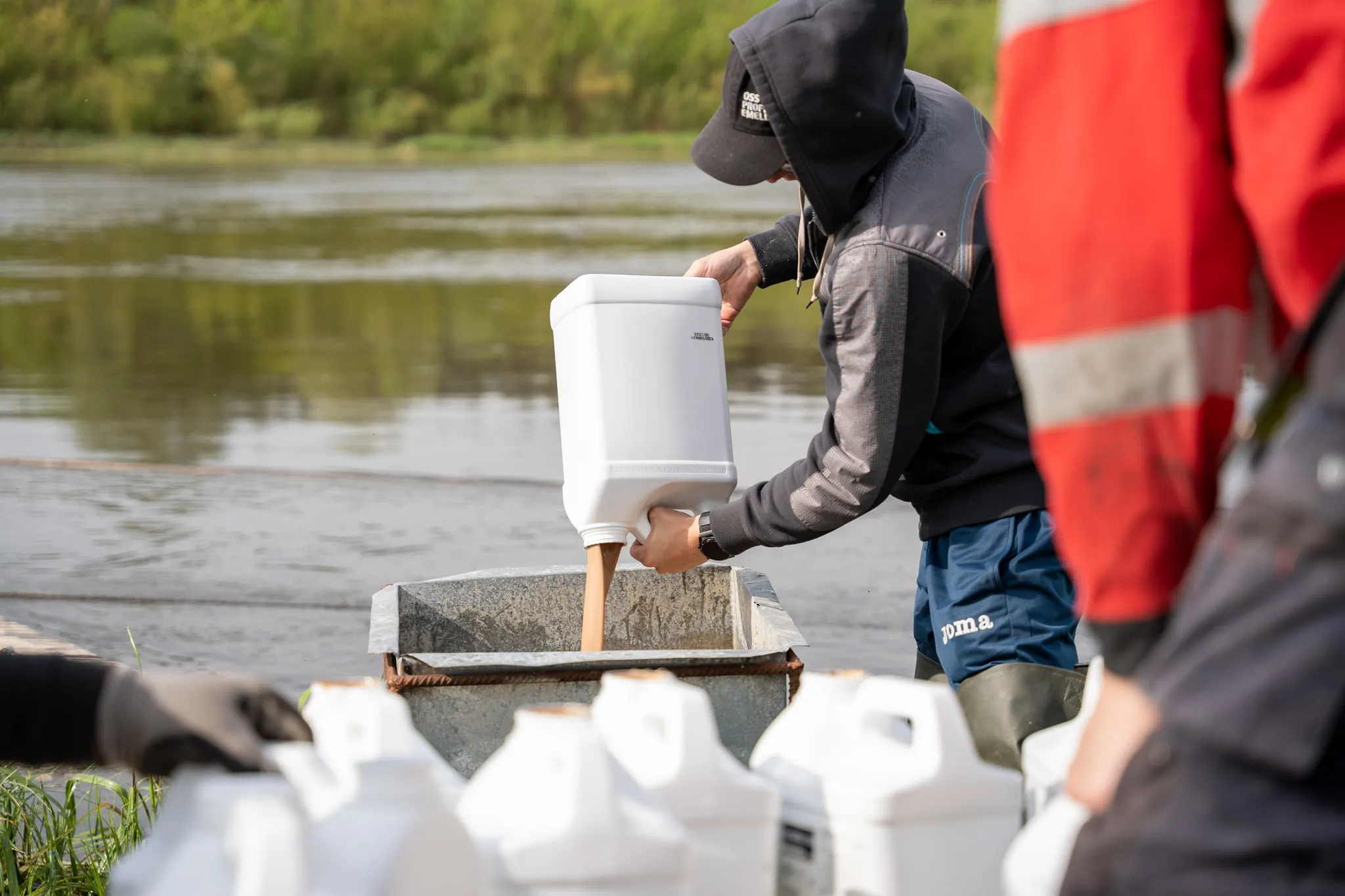 moskes347231987 793803345291860 4332266120750542775 n