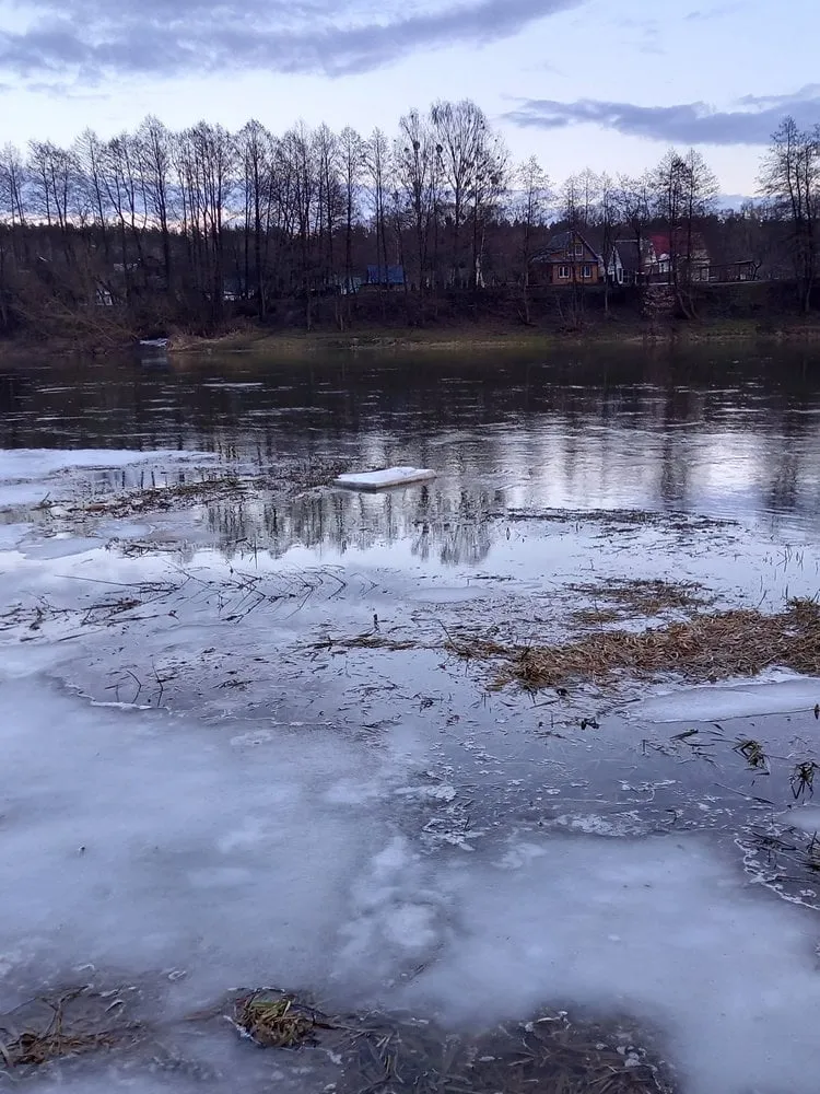 nemu20210312 190512 003 53534