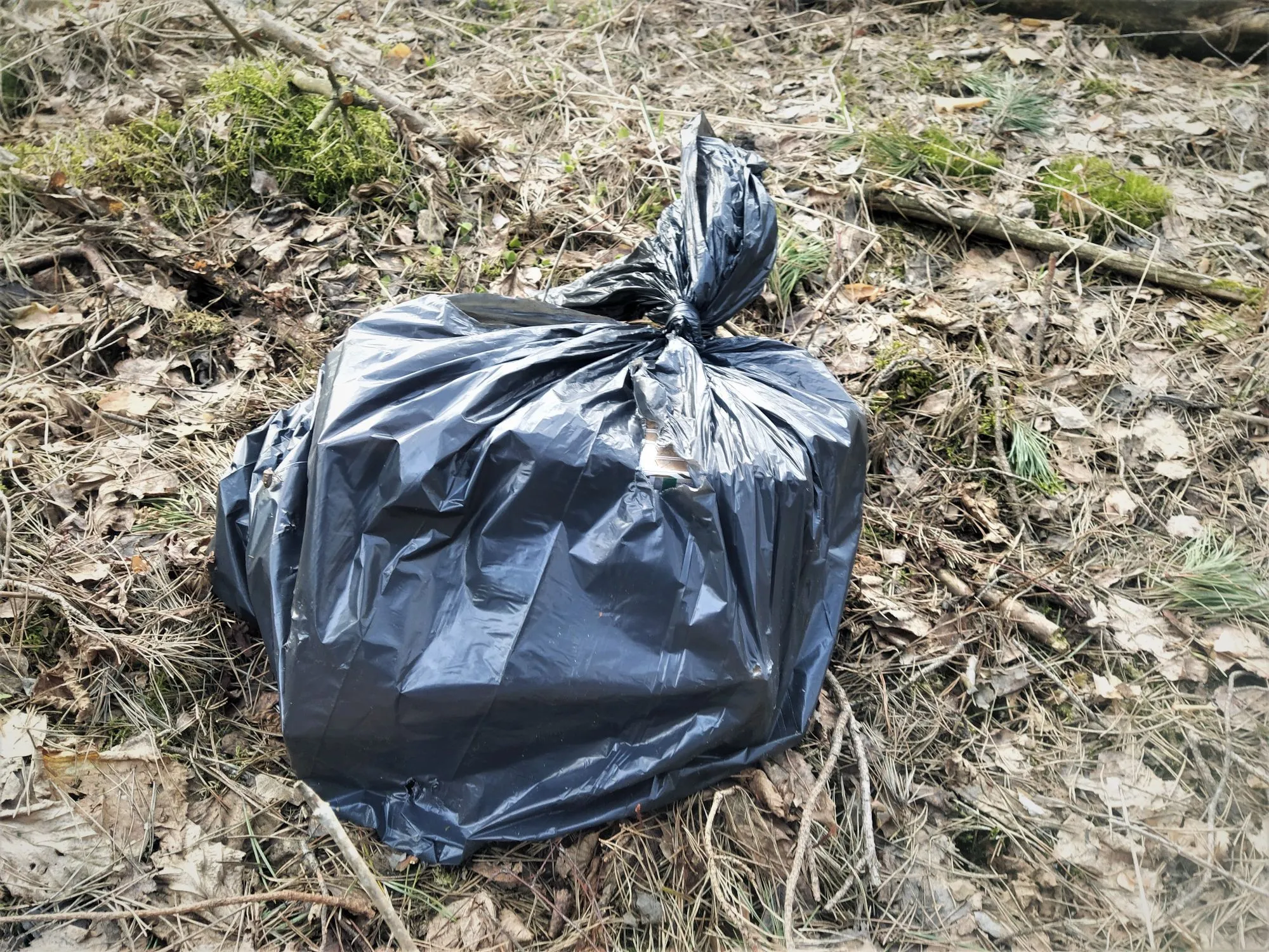 nesik20230319 cig barausk 2