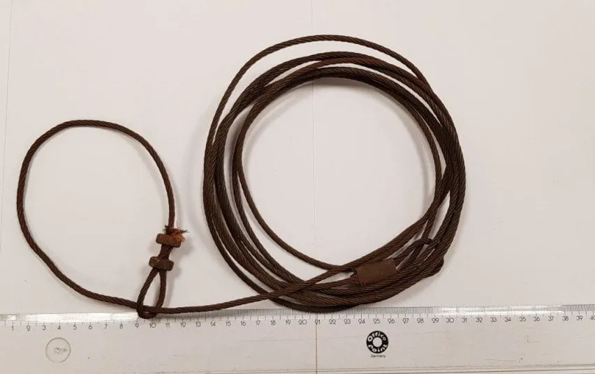 noru2021 15fc150135782d9d878c55706d9c5553