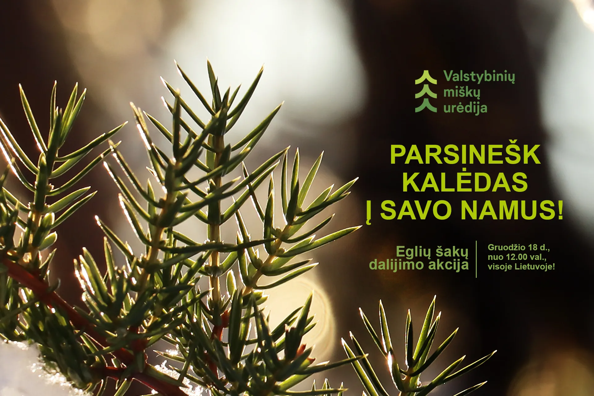 pagrindinis vizualas