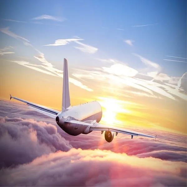 palaiku pargabenimas lektuvu is uzsienio