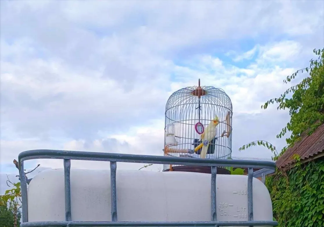 pap363059908 996149844724660 9209878952611091434 ns