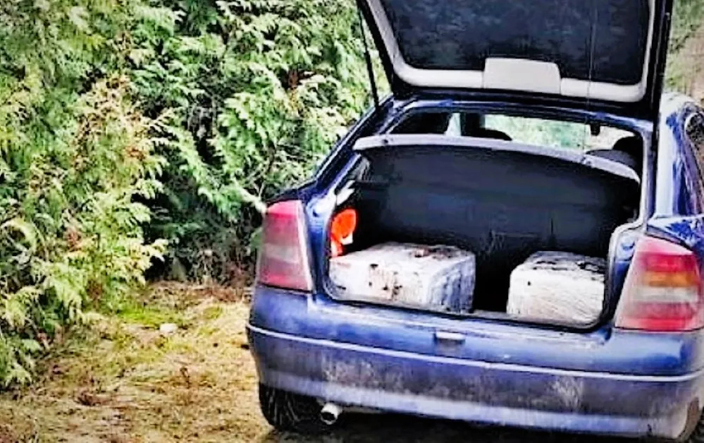 pasie20 e11fbd58ad8817e4df4ef655ee69bf1fa