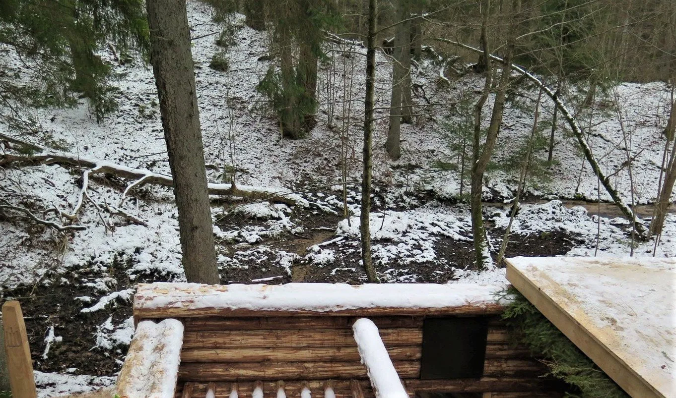 punsil27913146 1605227249ss596197 331638896465496571 o