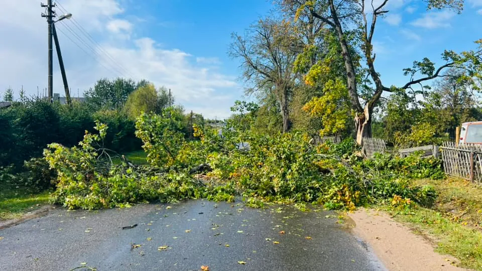 rajvej387740666 7006896325997289 6782561452445766865 n 47241