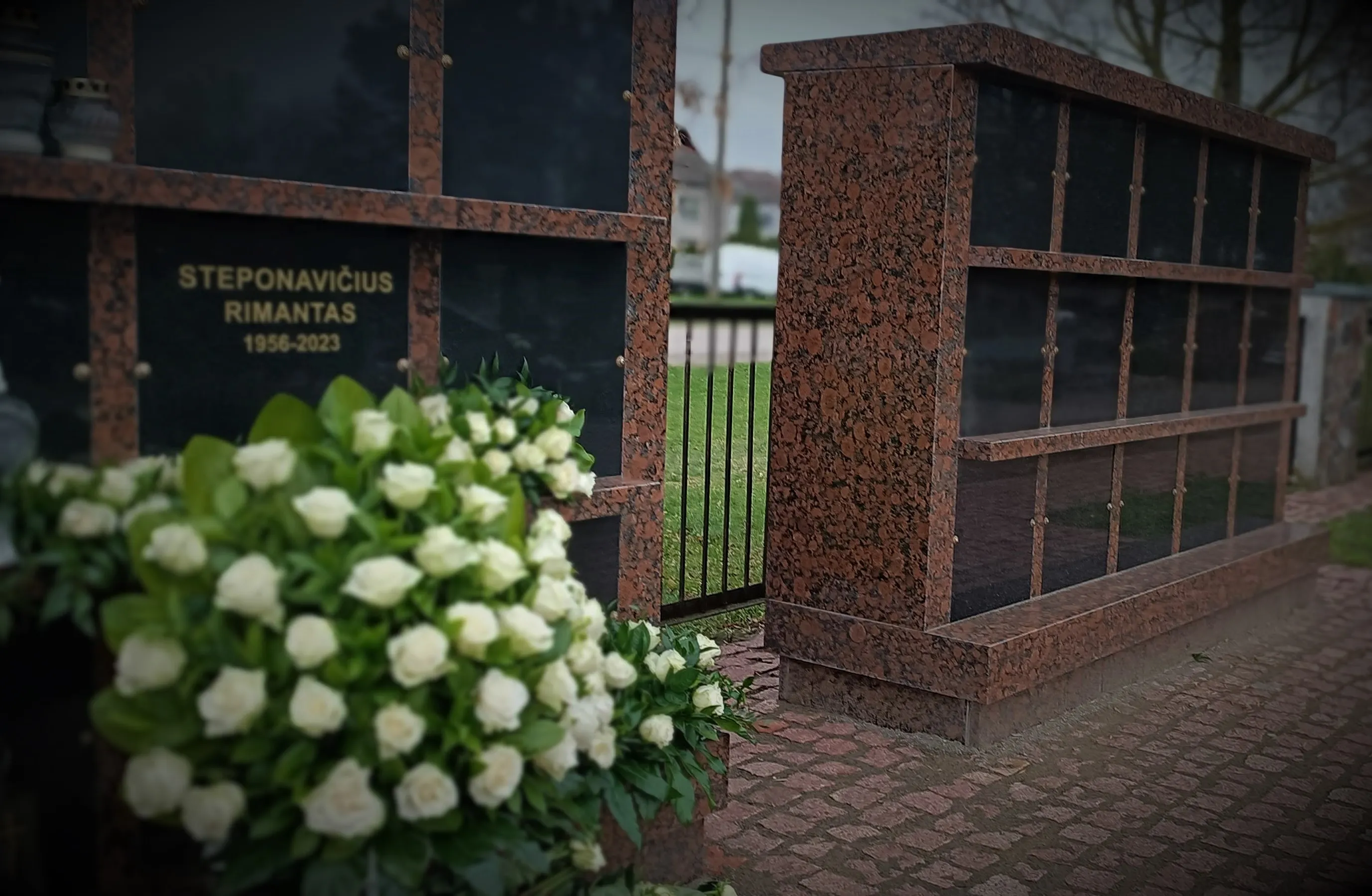 rimastimg 20230416 182448 1