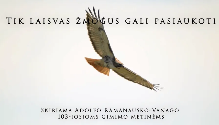 screenshot 2021 03 06t104155486