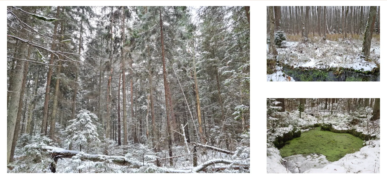 screenshot 2023 02 17 00 33 43 439 edit comgoogleandroidgm