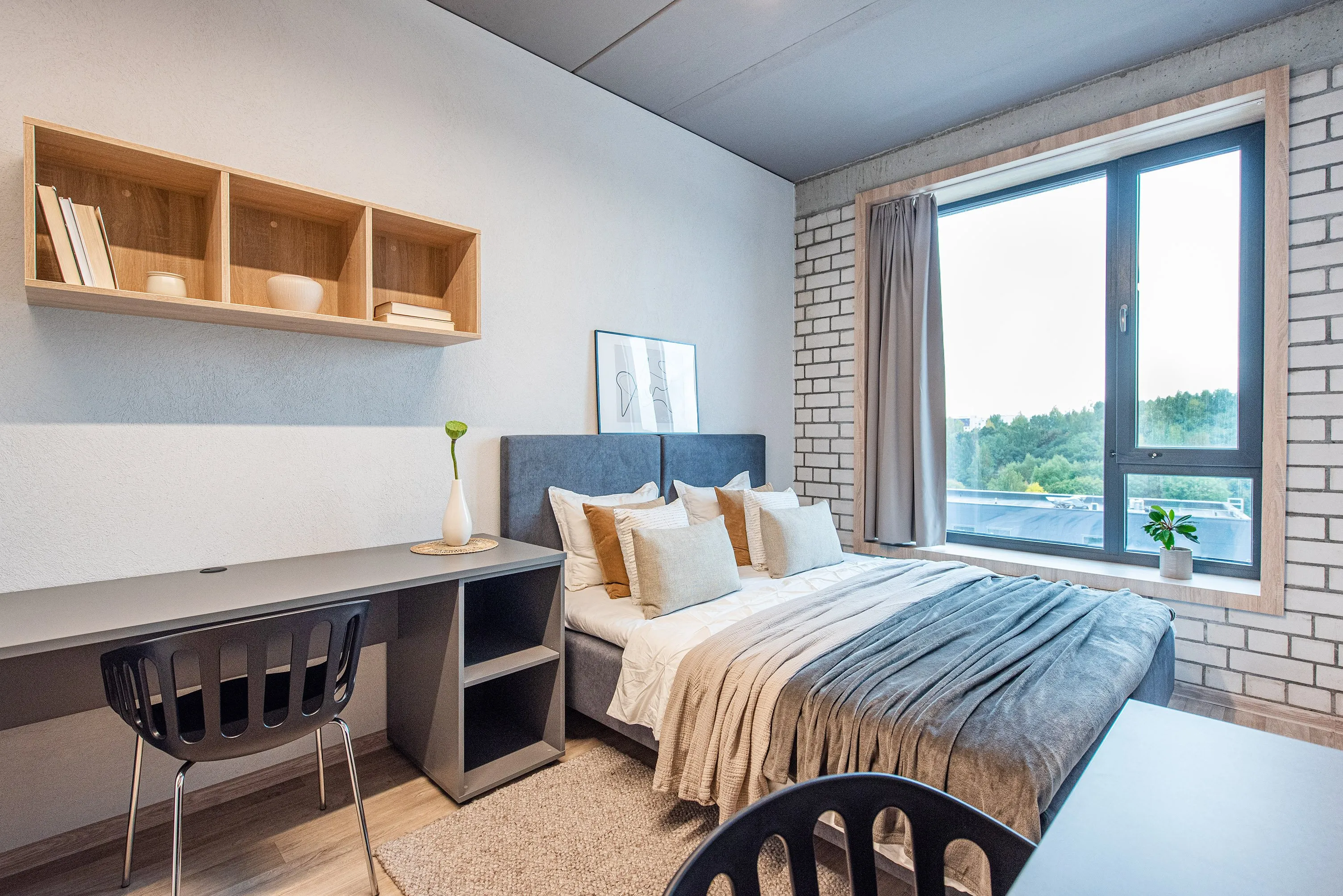 shed coliving studentu namai2