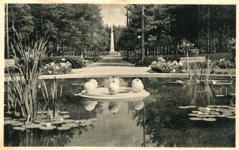 sodas18773 429cea5e23d3e83a1cc46523971f41e7