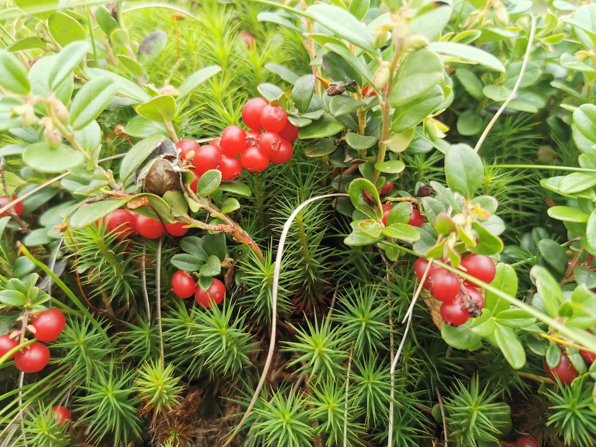 span308797975 458136163009098 830980781849188299 n